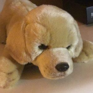 Meet your Posher, Chacha